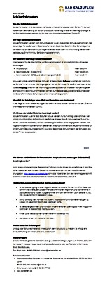 Sch&uuml;lerfahrkosten  Deutschlandticket / PDF
