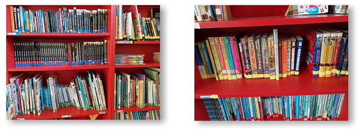 Konzept Schulb&uuml;cherei - Regaldetails - Erich K&auml;stner-Schule Bad Salzuflen